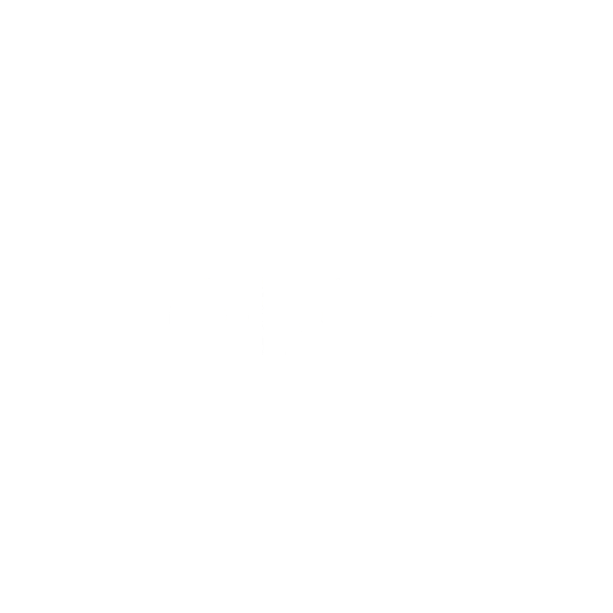 Holo AI